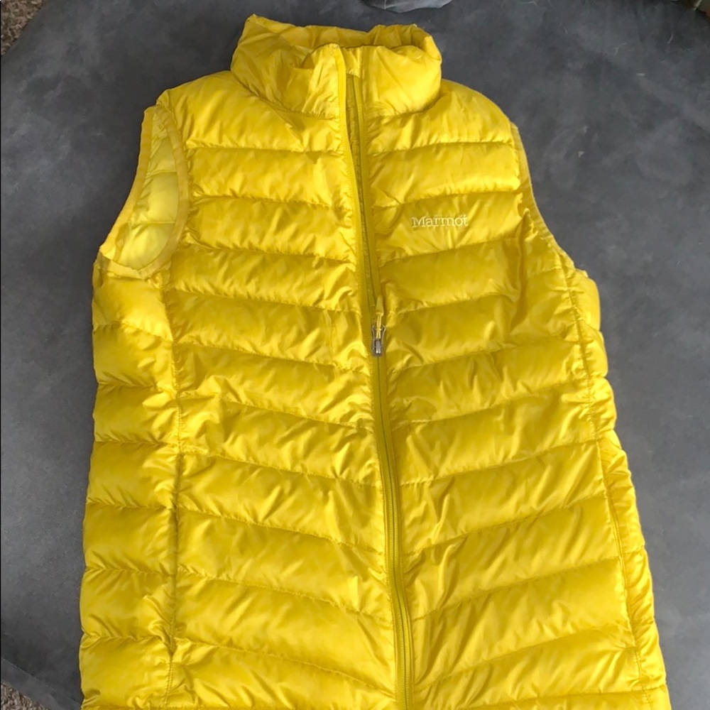 Marmot vest